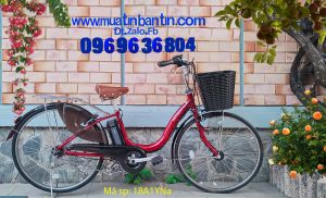 Xe đạp điện trợ lực: Pas Natura