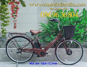 Xe đạp điện trợ lực Eva 