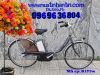 Xe-đạp-địên-Nhật-Pas-City-3-chế-độ-chạy - ảnh nhỏ  1