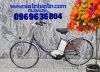 Xe-đạp-địên-Nhật-Pas-City-3-chế-độ-chạy - ảnh nhỏ 3