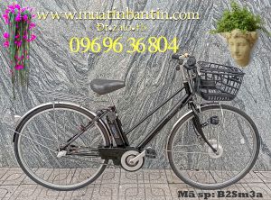 Xe đạp điện Nhật Sanyo  (Hàng bãi, nội địa) lên tay ga