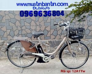 Xe đạp Nhật bãi: Yamaha Pas