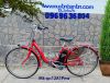 Xe-đạp-thể-thao-điện-trợ-lực-Bridgestone - ảnh nhỏ 3