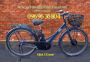 Xe đạp trợ lực điện  : Neosage 