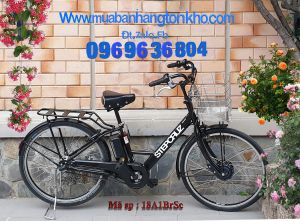Xe đạp điện trợ lực :Bridgestone  Step Cruz  2017 - 2019