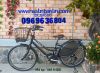 Xe-đạp-điện-trợ-lực-HYDEEII-BRIDGESTONE-NHẬT - ảnh nhỏ 4
