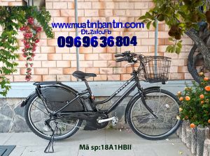 Xe đạp điện trợ lực HYDEE.II (BRIDGESTONE NHẬT) 