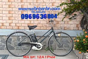 Xe đạp điện trợ lực Nhật: Panasonic