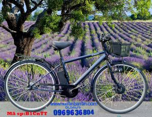 Xe đạp điện bãi  Nhật : Suisui